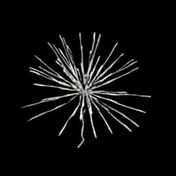 16" Red/ Green Spritzer - Image 2