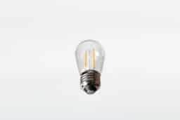 Outdoor Bistro Edison Bulb Sun Warm White 120V - Image 2