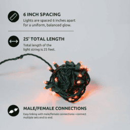 Orange String Lights 5mm 50L 6"