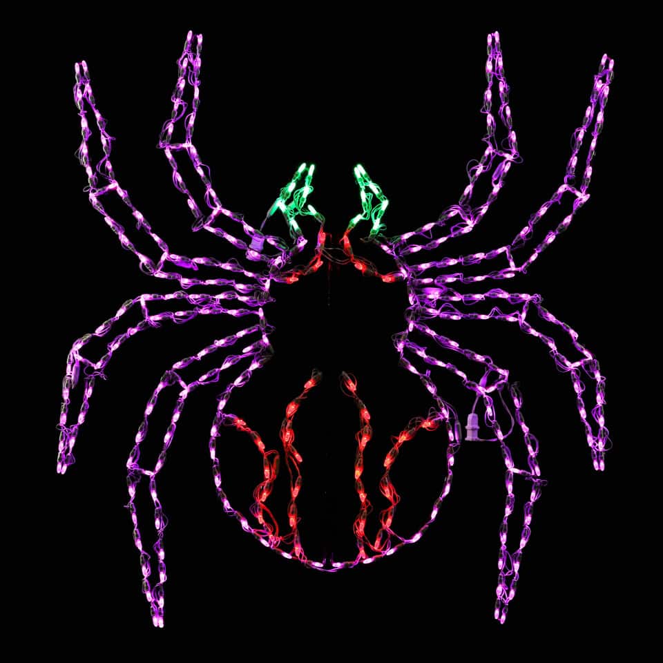Crawling Spider Wire Frame