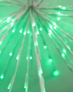24" Green Spritzer - Image 2