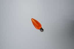C9 Orange Faceted Bulbs - Image 4