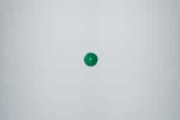C9 Green Faceted Bulbs - Image 6