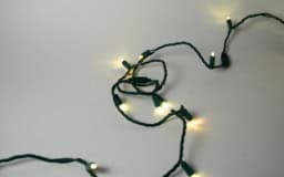 Warm White 5mm w/Twinkle - Image 4
