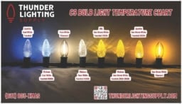 C9 Sun Warm White Faceted Bulbs - Image 5