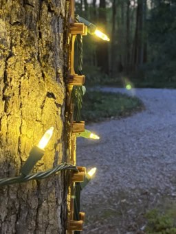 Energy-efficient outdoor string lights for backyard and garden decor.