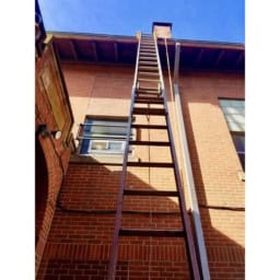 Lock Jaw Ladder Stabilizer - Image 4