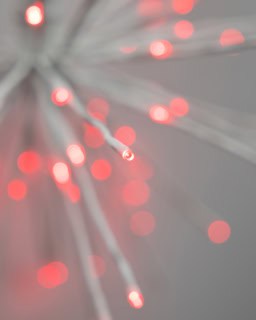 16" Warm White/ Red Spritzer - Image 2
