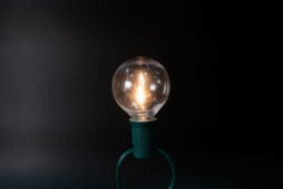 G50 Warm White Filament - Image 5