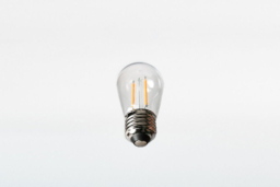 Outdoor Bistro Edison Double Filament Sun Warm White 12V - Image 2