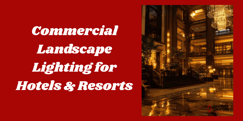 landscape lighting at night