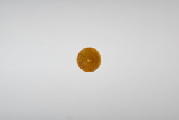C9 Yellow/Gold Faceted Bulbs - Image 5