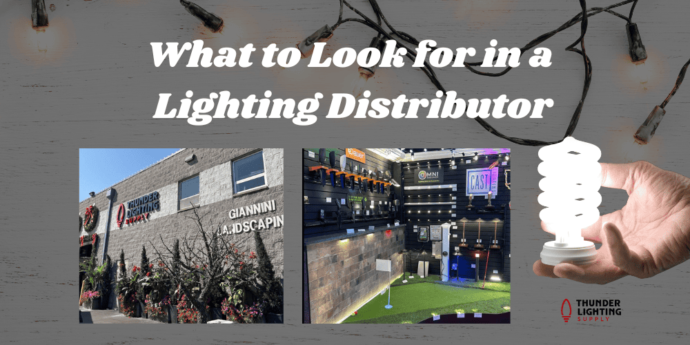looking for a lighting distributor
