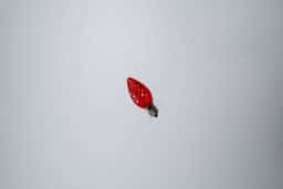 C7 Red Faceted