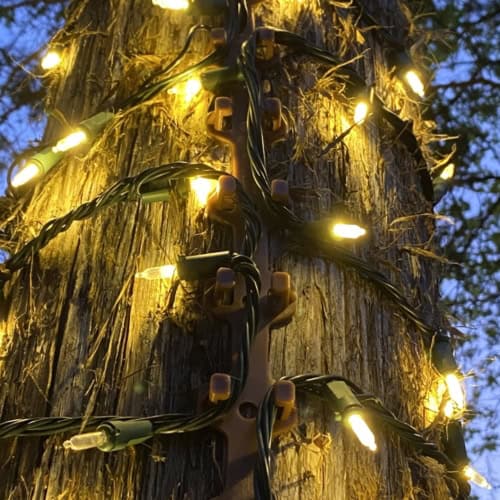 Yellow outdoor string lights wrapped around tree trunk for festive lighting.