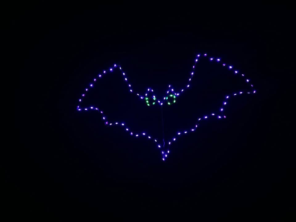 Small Bat - Set of 3 - 15" Wire Frame Rice Light
