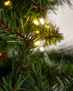 Warm White Noble Garland - Image 3