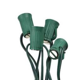 C9 Spool 12" Spacing Green Magnetic