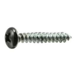 Screws 100Pk Stainless Black 1" X #8