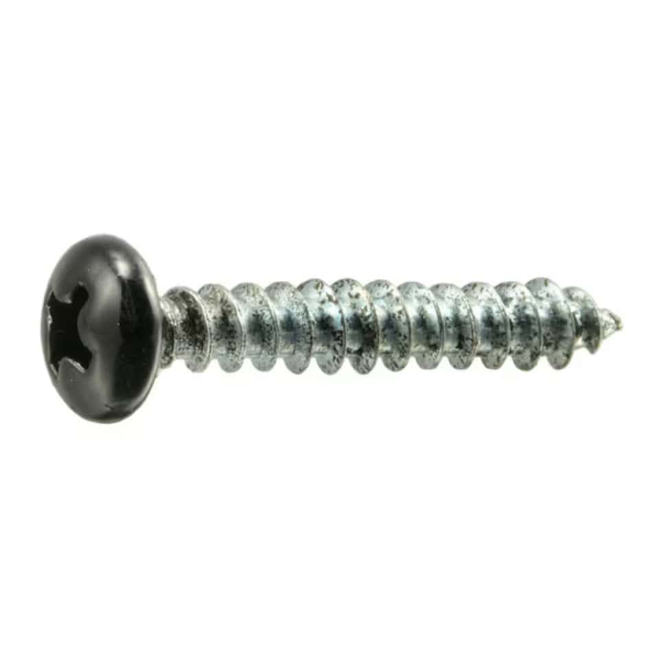 Screws 100Pk Stainless Black 1" X #8