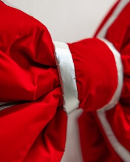 Red Bow W/ Silver Trim - Image 2
